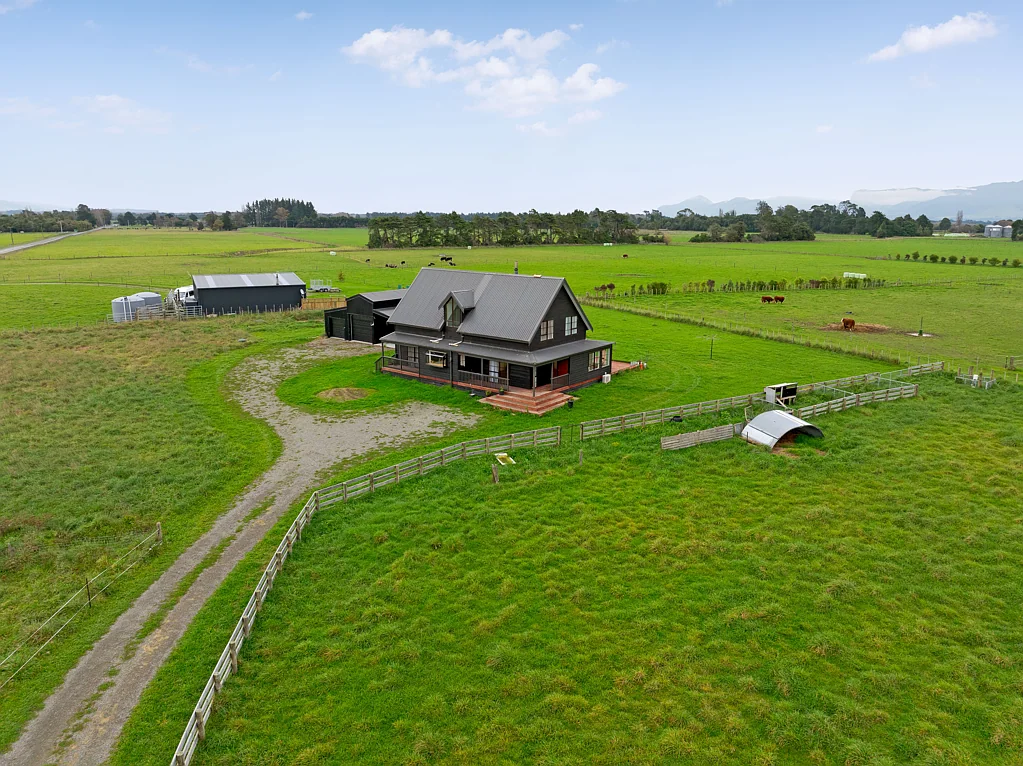 Featherston 5房  Rural Bliss in South Wairarapa