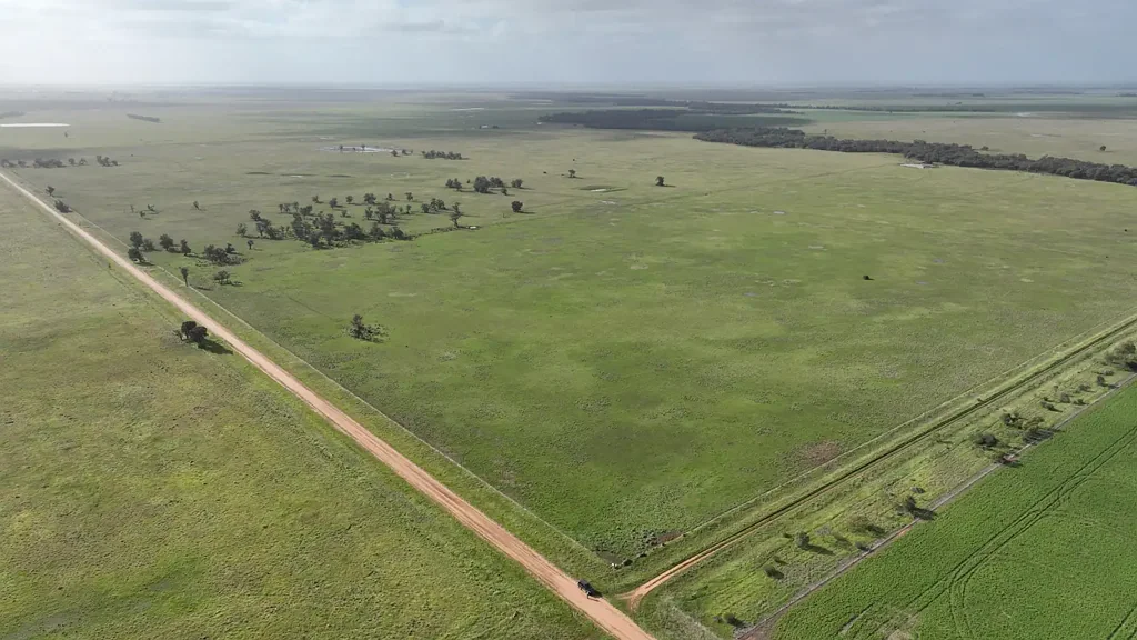 Mitiamo  Entry Level Terricks Grazing Opportunity