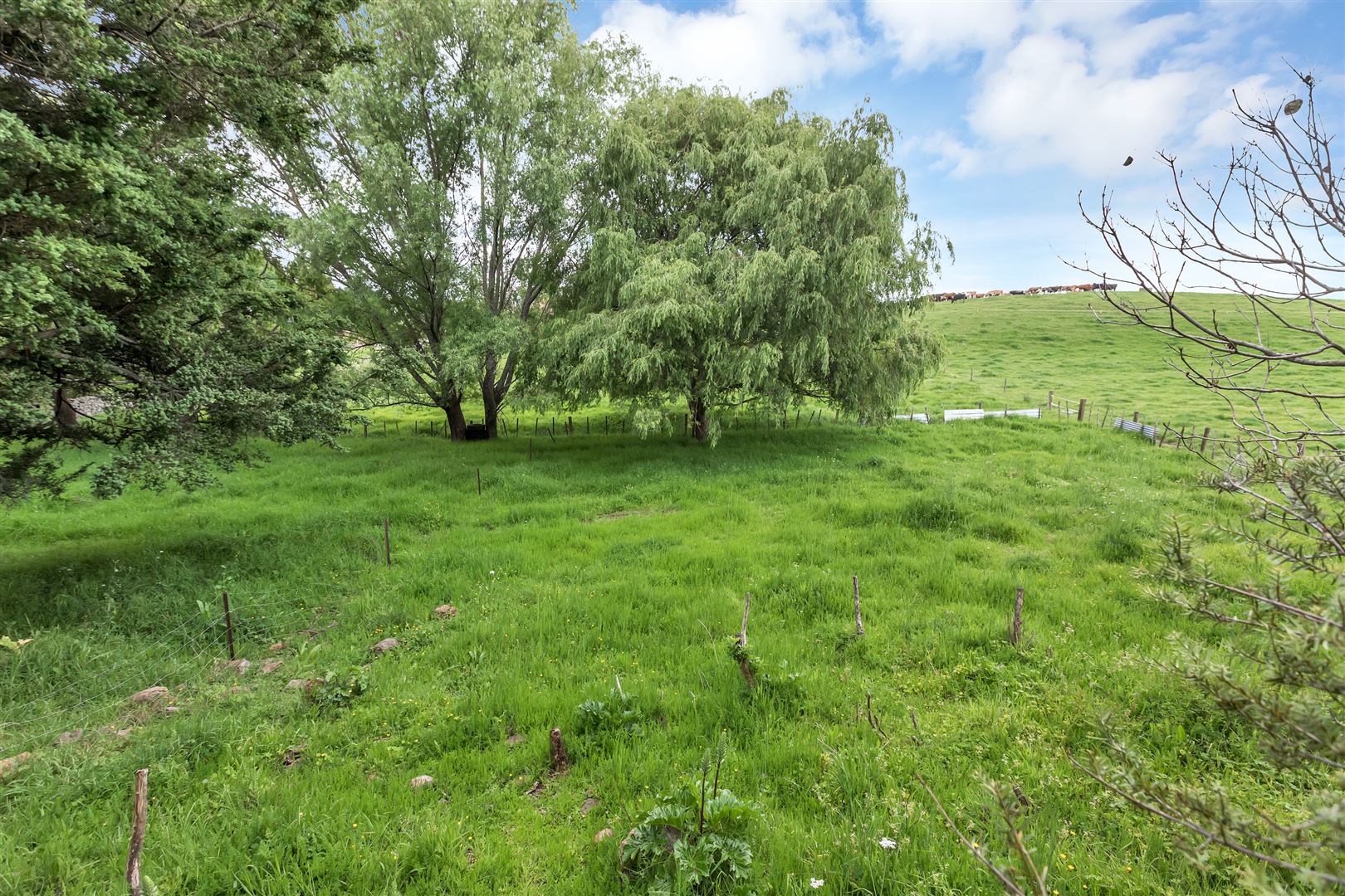 1053 Maungakaramea Road, Maungakaramea, Whangarei, 3 Kuwarto, 1 Banyo