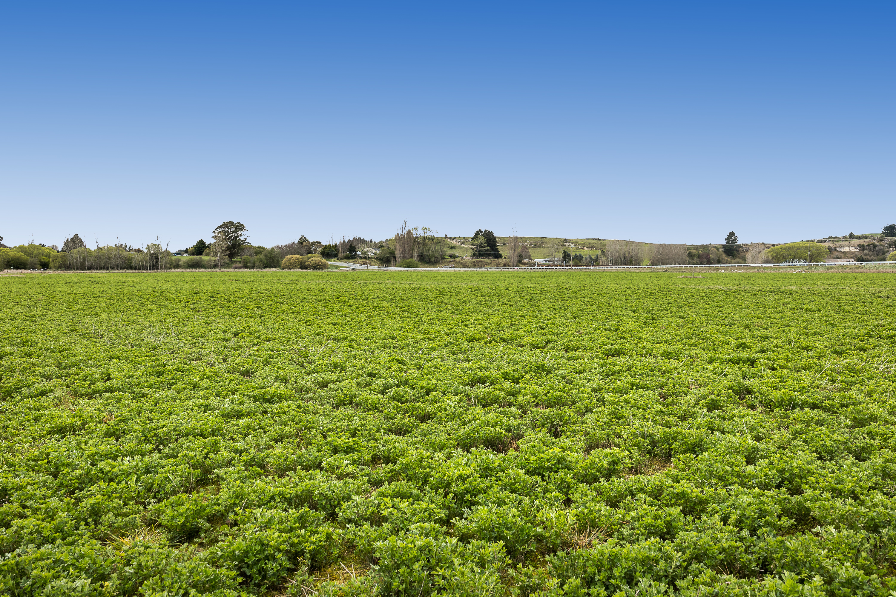 Alma-Maheno Road, Totara, Waitaki, 0房, 0浴, Grazing