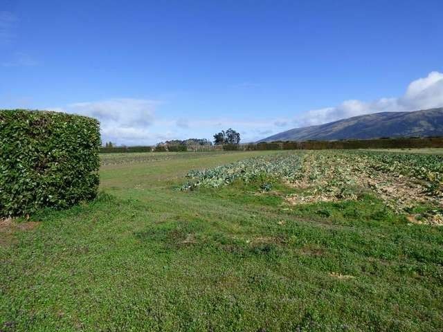 99 Formby Street, Outram, Dunedin, 4 rūma, 1 rūma horoi