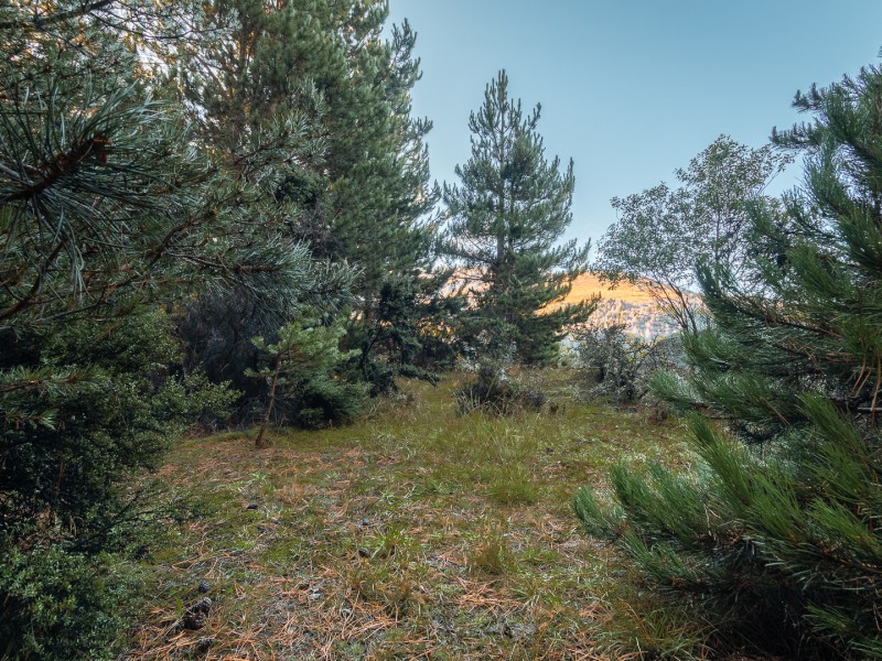 132 Alpine Retreat Road, Ben Lomond, Queenstown Lakes, 0 Kuwarto, 0 Banyo