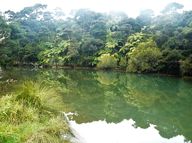236 Redcliffs Road, Kerikeri, Far North District, 0房, 0浴, Lifestyle Section
