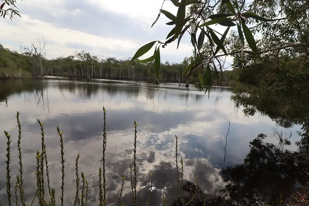 Yandaran 274 acres 3 large dams ,growing cane and cattle