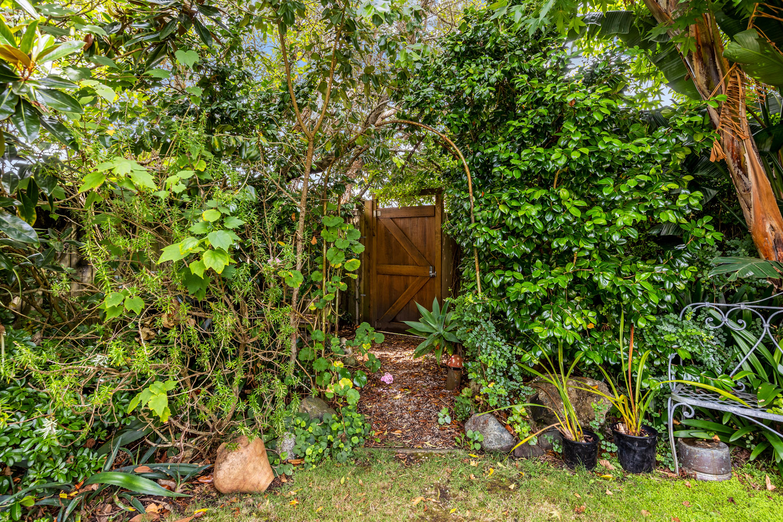 3/40 Speight Road, Kohimarama, Auckland, 2 chambres, 0 salles de bain, House