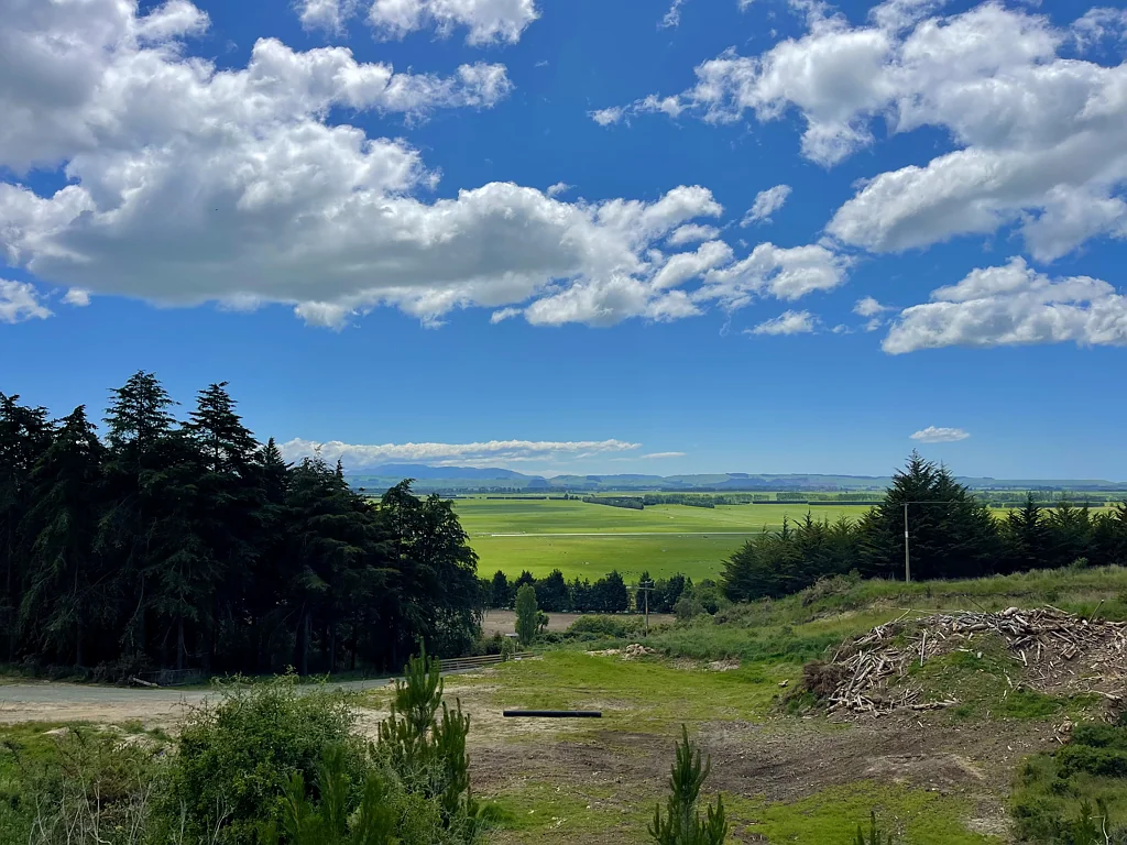 Oamaru Affordable Forest Lifestyle