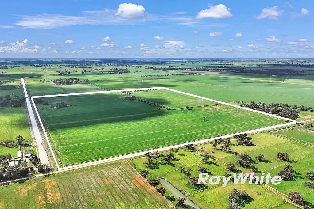 Kotta Irrigation Farm AUCTION - Prime 125 acre Block