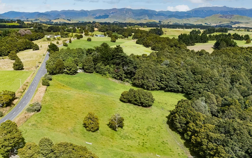 Ongaonga Countryside views