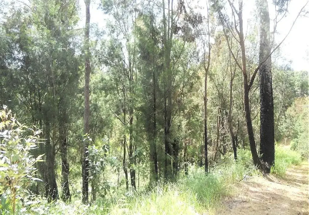 Ravenshoe  Just over 15 acres of woodland.