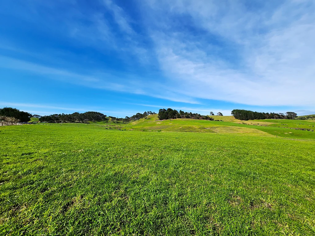 Dargaville Surrounds  Prime Bare Land Opportunity on Babylon Coast Road!