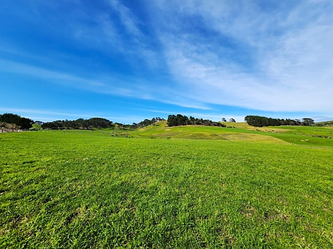 Dargaville Surrounds  Prime Bare Land Opportunity on Babylon Coast Road!