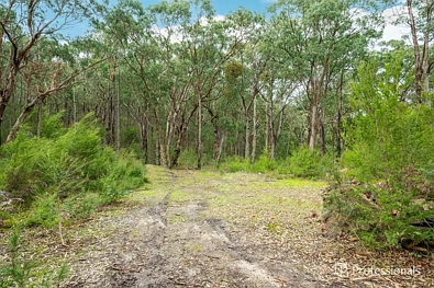 Launching Place Your Own Yarra Valley Wilderness Awaits!