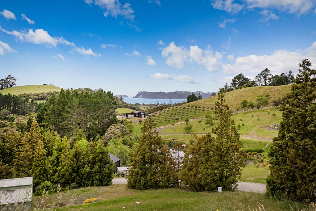 Whitianga  Final price reduction!