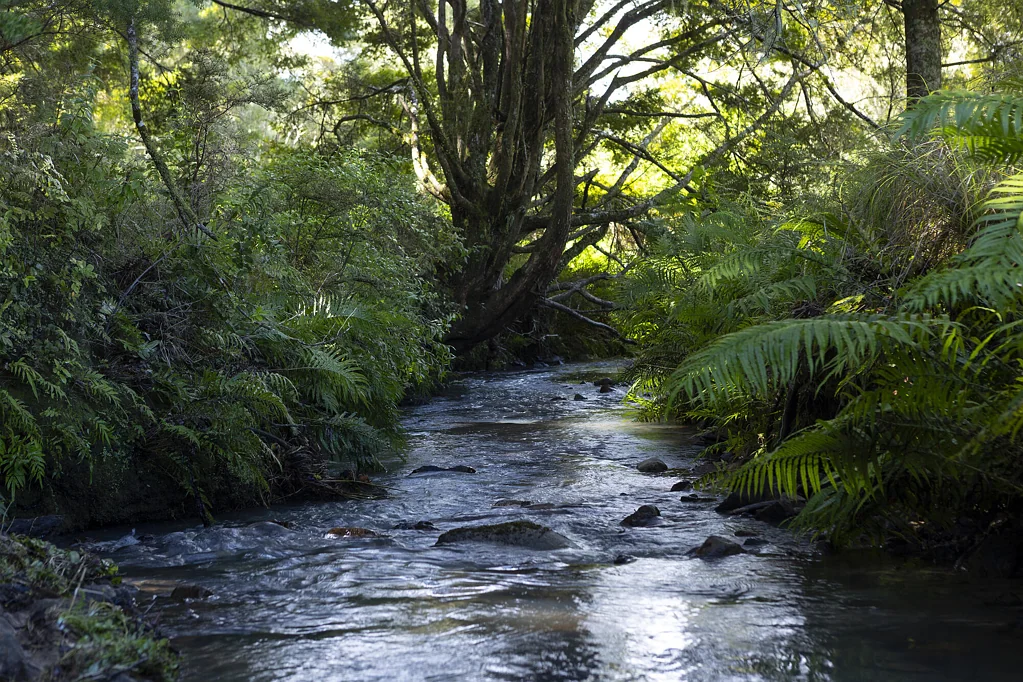 Kaeo 12HA OFF-GRID LIFESTYLE TREASURE