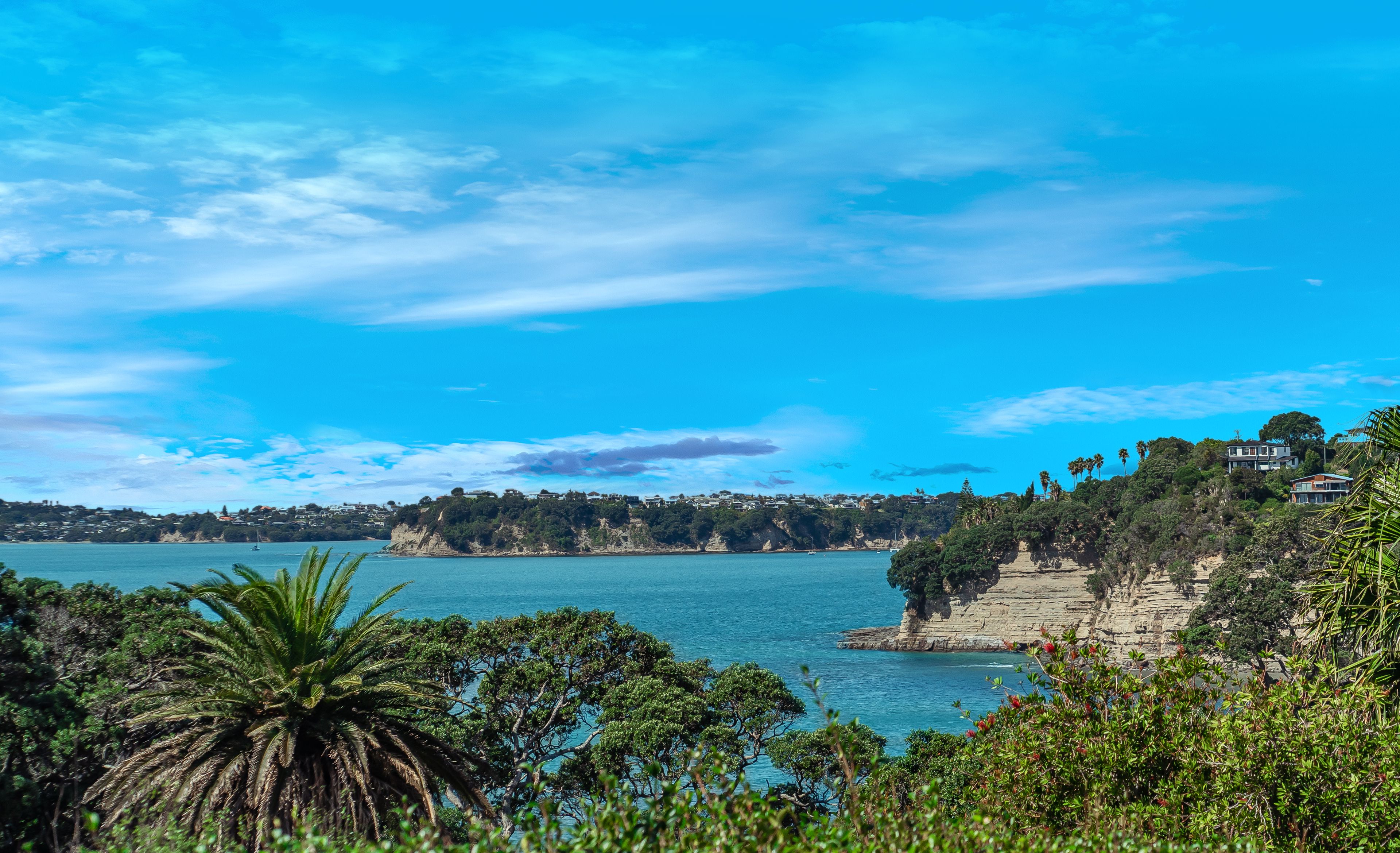 42 Marellen Drive, Red Beach, Auckland - Rodney, 4 habitaciones, 4 baños