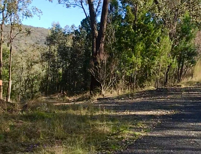Lot 7 Gibraltar Road, Tenterfield, Tamworth, 0房, 0浴, Lifestyle Property