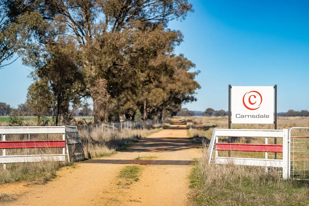 Yerong Creek Auction On Behalf Of The Estate of Ian J Willis.