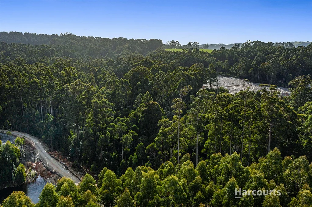 Flowerdale River Frontage