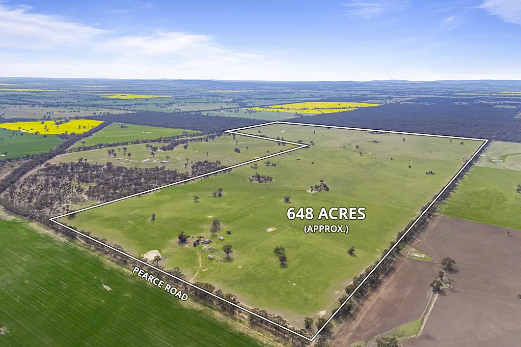 Campbells Bridge Greens Creek Cropping/Grazing Opportunity