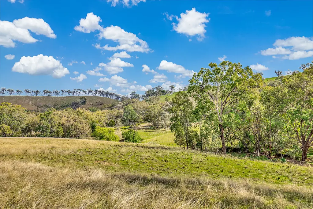 Spring Flat LARGE ACRES CLOSE TO MUDGEE