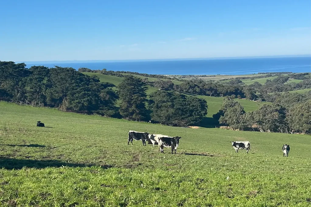 Willow Creek  Kulaganga - A Rare Fleurieu Peninsula Landholding