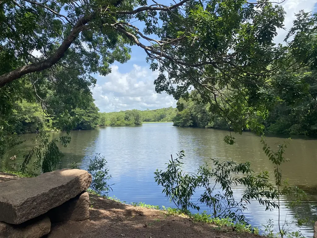 3481 Arnhem highway, Marrakai, NT 822