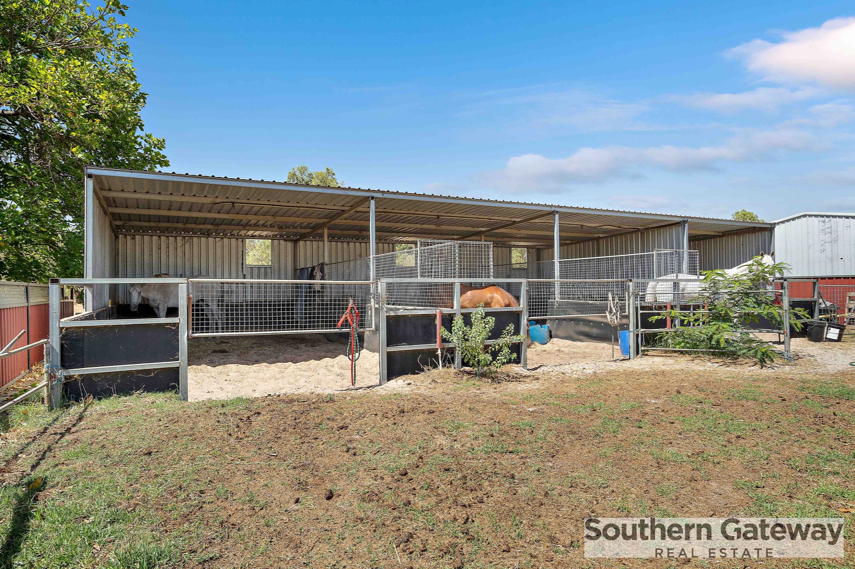 12 RACECOURSE RD, PINJARRA WA 6208, 0房, 0浴, Section