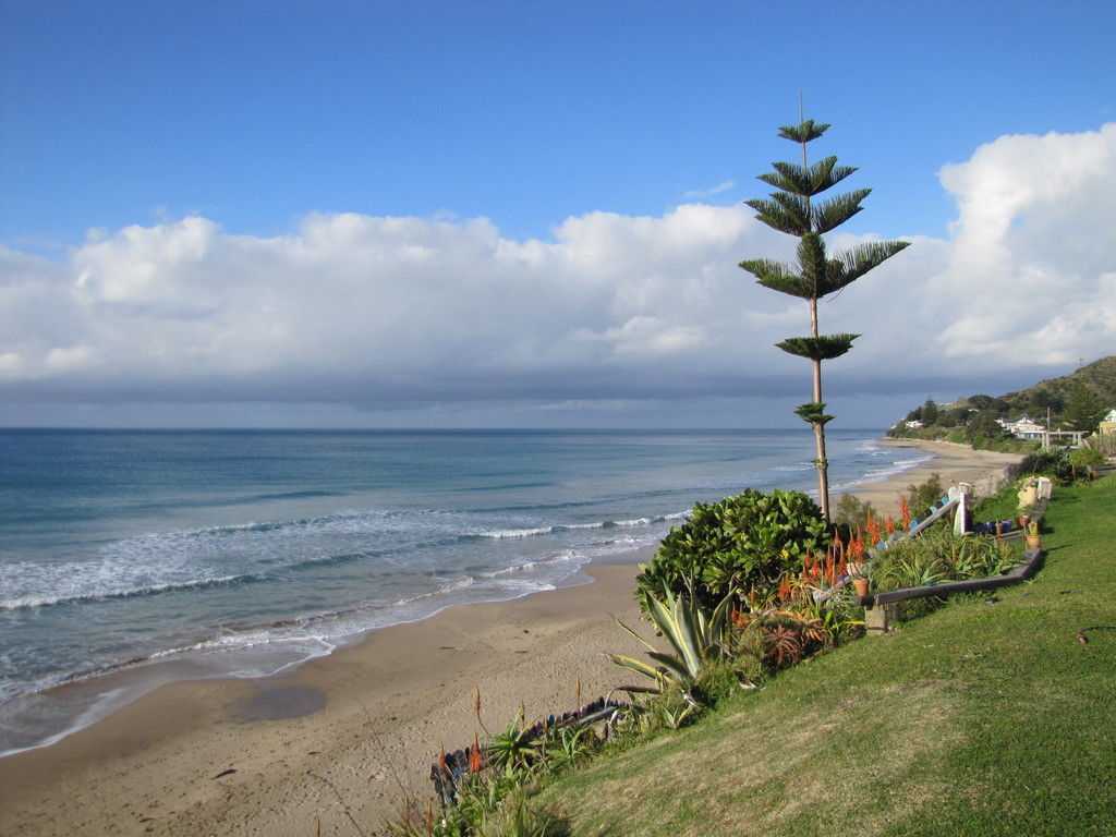 6 Pare Street, Wainui, Gisborne, 2 habitaciones, 1 baños