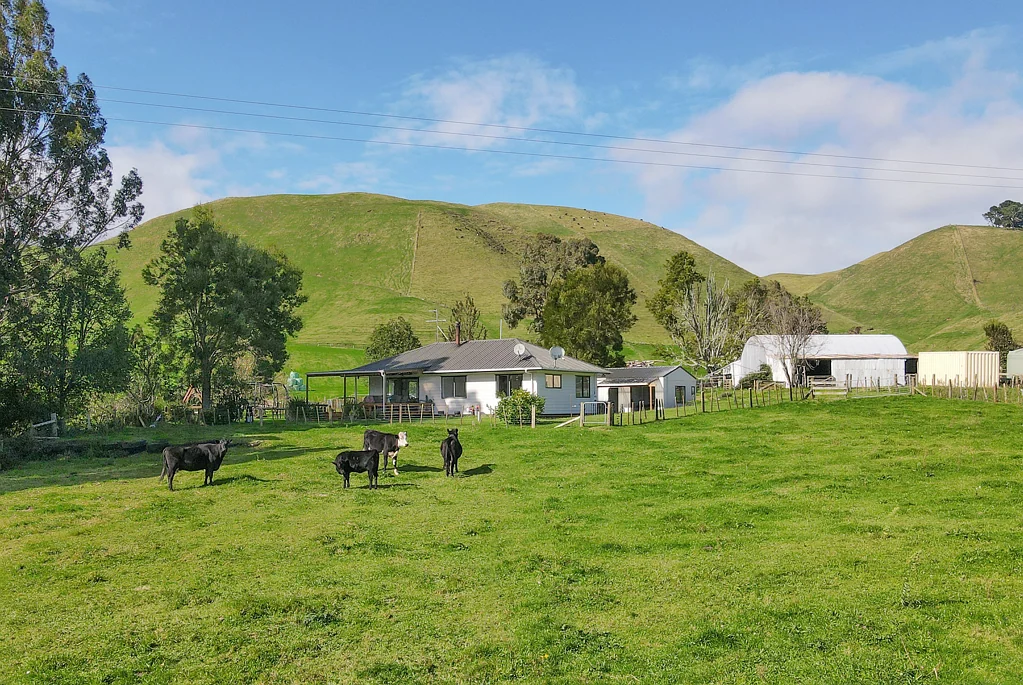 Waikite Valley  A Lifestyle With the Right Set Up