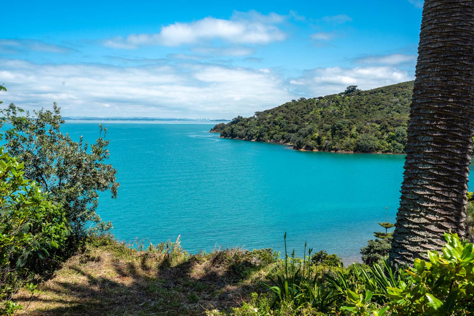 6 Pohutukawa Avenue, Omiha, Auckland, 2房, 1浴