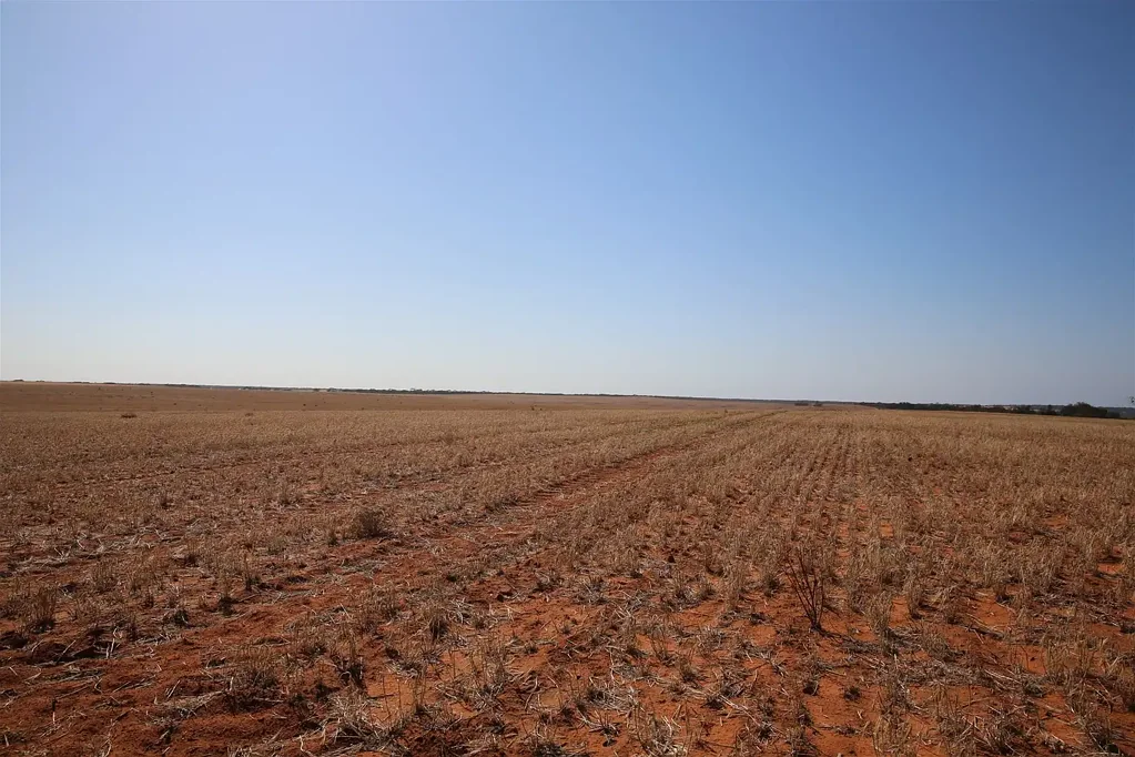 Monak Horticulture Land Development Opportunity