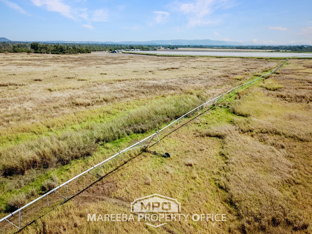 Mareeba 101.6 HA UNDER HAY PRODUCTION