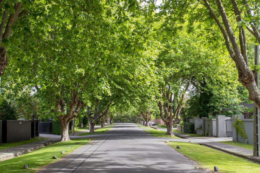 11 Heathfield Avenue, Fendalton, Christchurch, 4房, 0浴