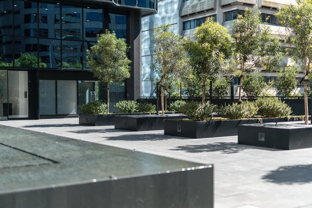 Auckland Central CBRE – Expansive Outlook | 33 Federal Street