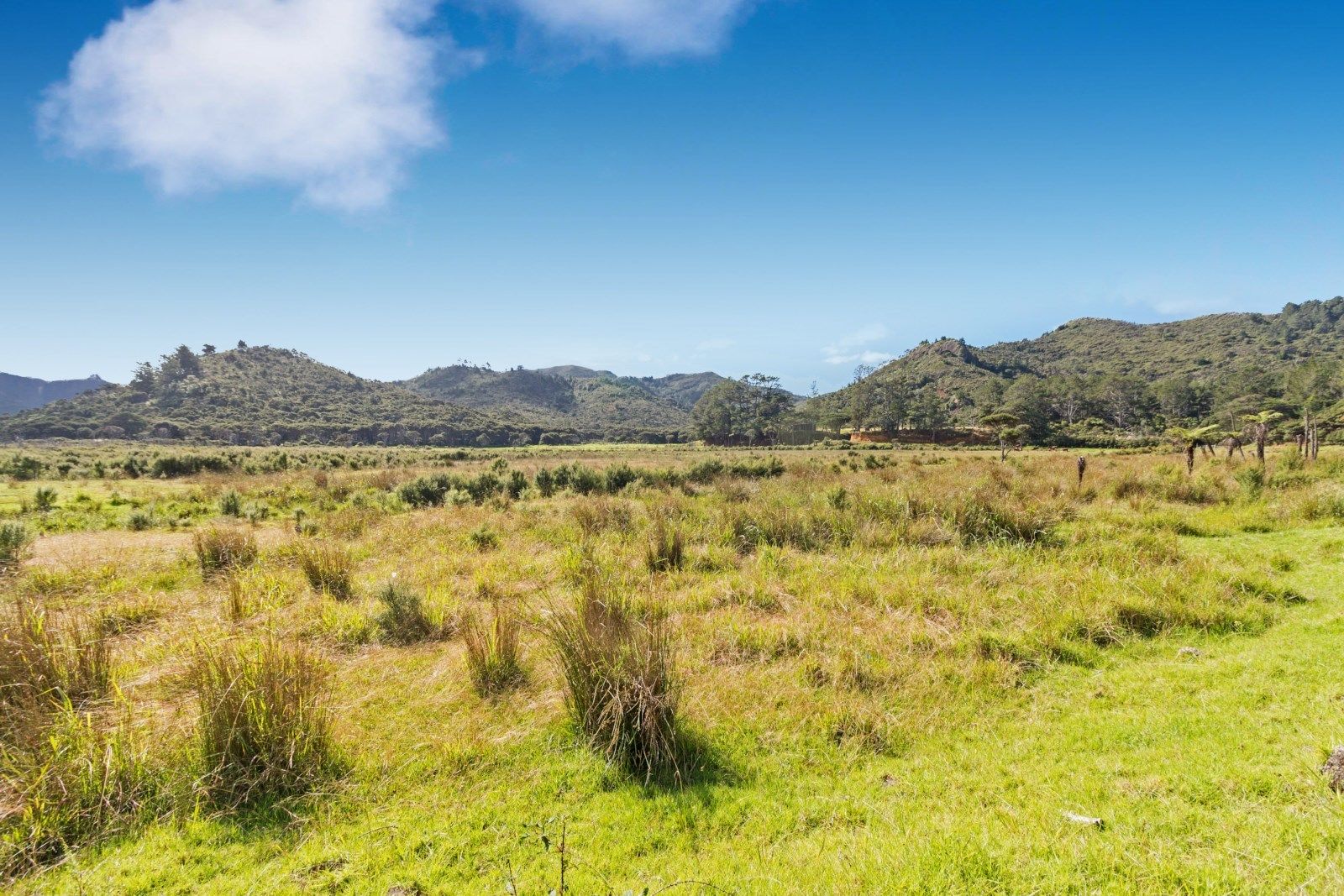 255 Gray Road, Great Barrier Island (Aotea Island), Auckland, 3 rūma, 0 rūma horoi