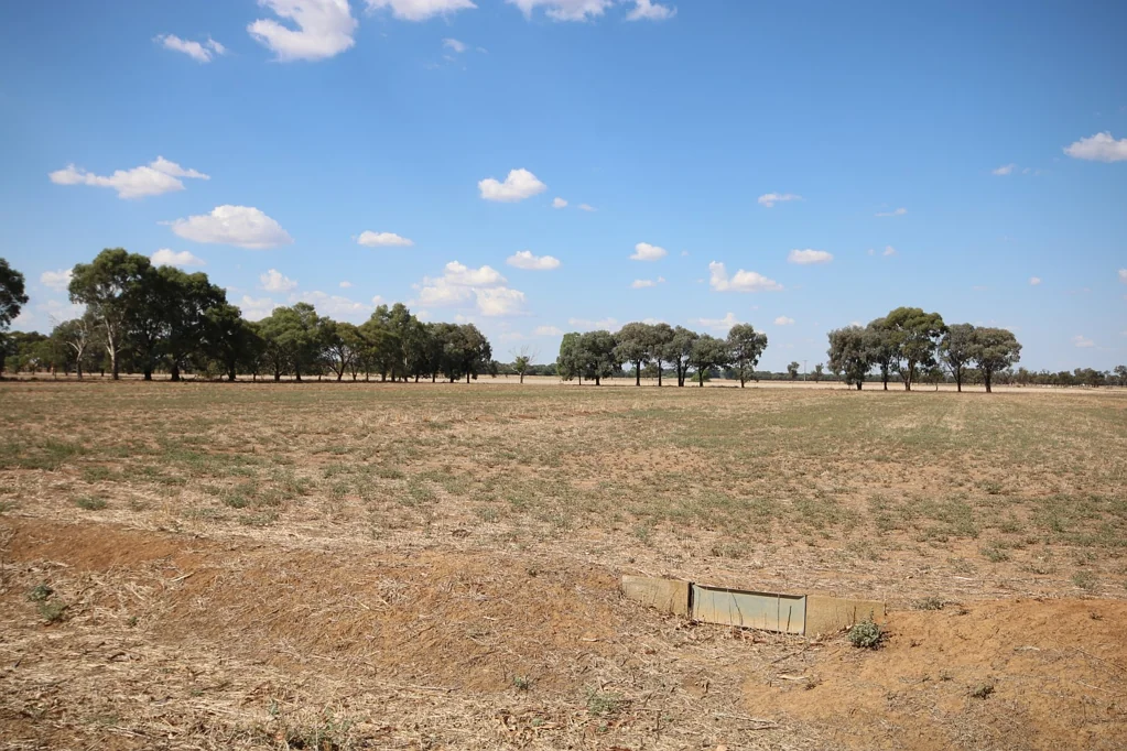 Rochester 145 ACRES IRRIGATED- LOAM SOILS