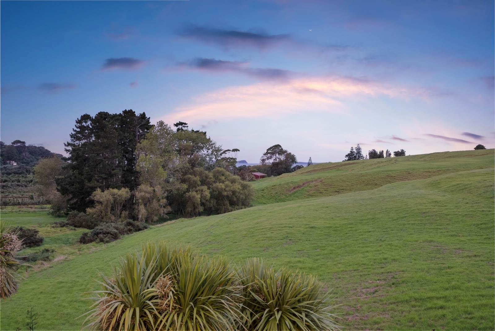 5 Coastal Court, Long Bay, Auckland - North Shore, 4房, 0浴