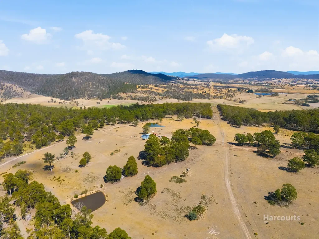 Buckland Perfect Weekender - 94 Hectares of Productive Rural Land