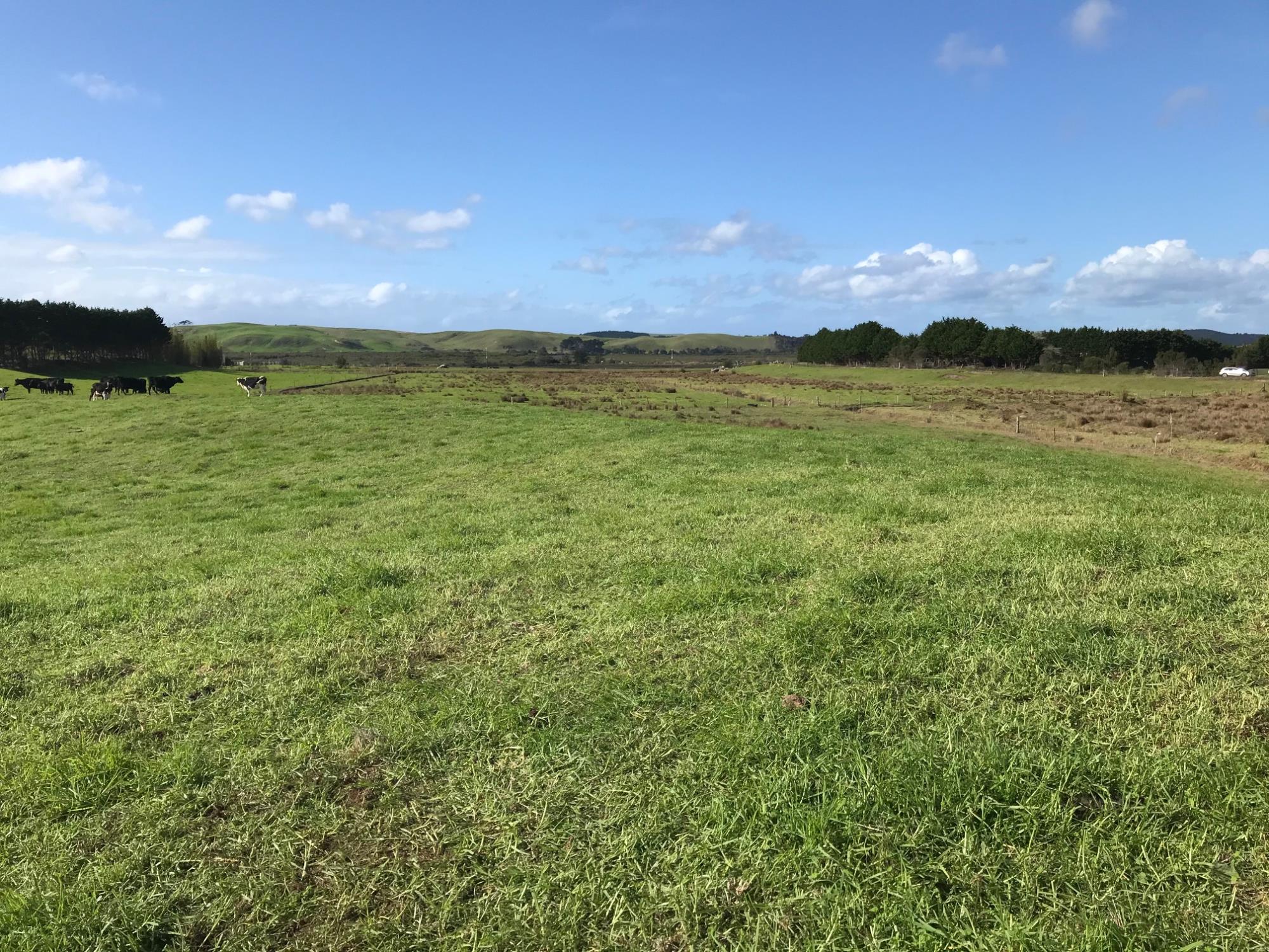 State Highway 1, Mangamuka, Far North, 0房, 1浴