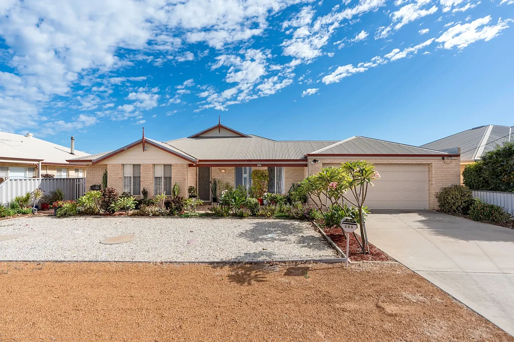 Wonthella 4房  Stunning Family Home on Sizable Block