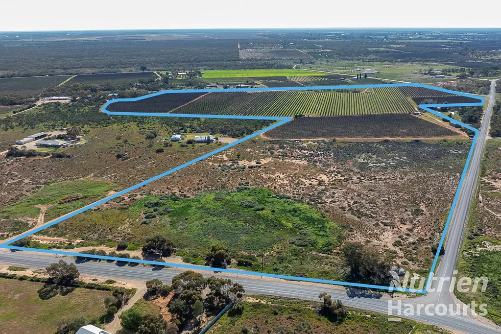 Glossop Productive Vineyard with Lifestyle Potential
