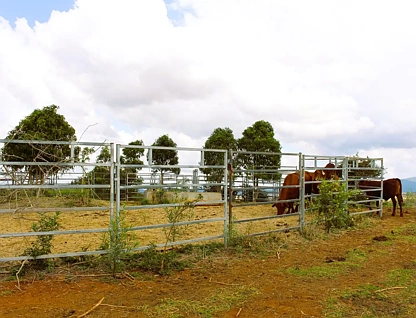 Lot 8/82 Kellys Road, Bracewell, QLD 4695, 0 slaapkamers, 0 badkamers, Lifestyle Property