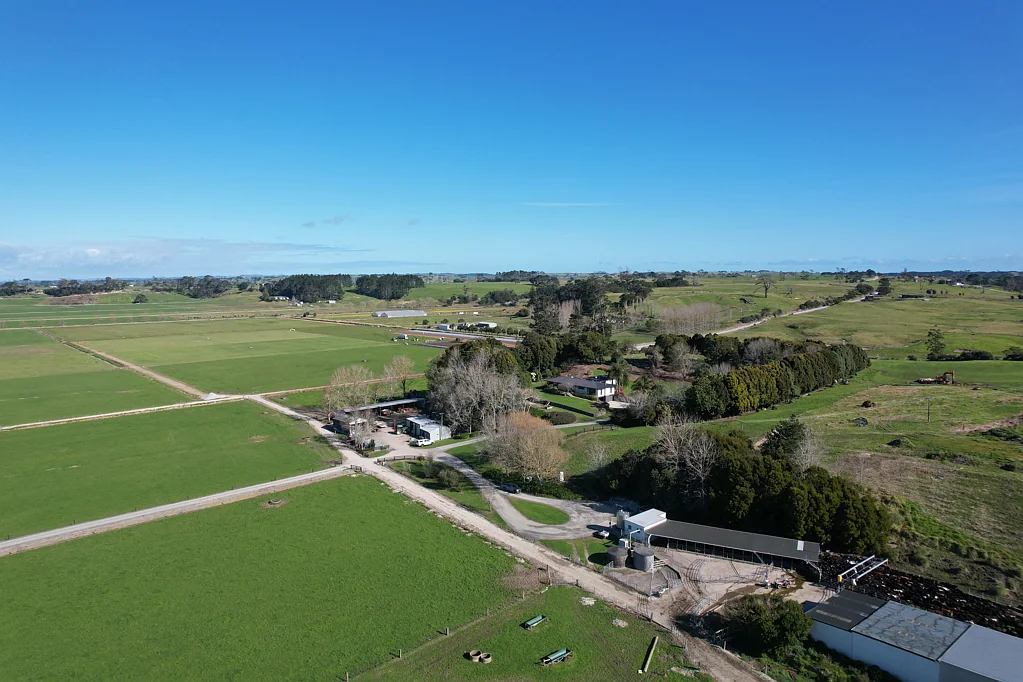 Dargaville Turnkey Dairy Operation