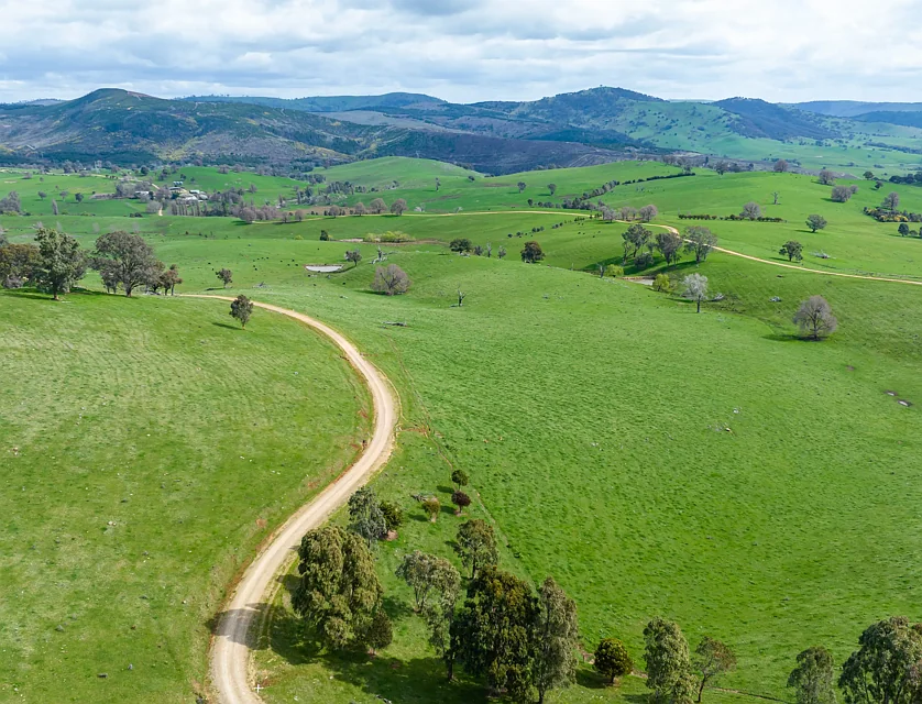 242 Back Nacki Creek Road, Sharps Creek, Riverina, 4 Bedrooms, 3 Bathrooms, Lifestyle Property