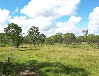 Lot 3 Devil Mountain Road, Sexton, Wide Bay, 0 habitaciones, 0 baños, Lifestyle Property
