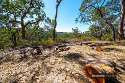 1493 Wheelbarrow Ridge Road, Lower Portland
