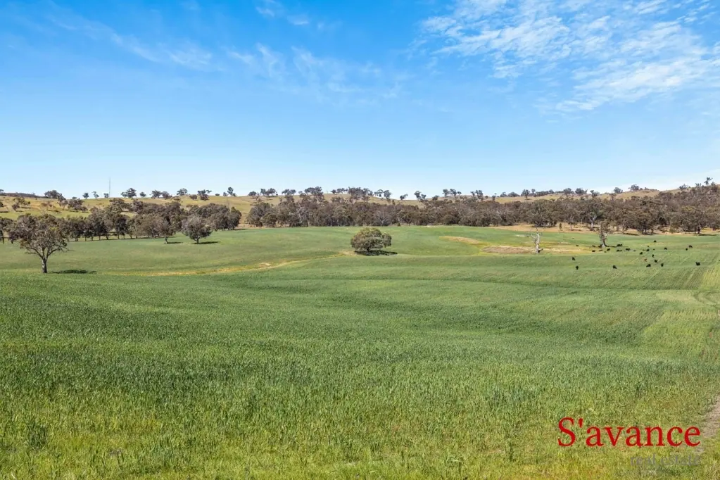 Lot 50 Fendlers Road, Tungkillo, SA 5236