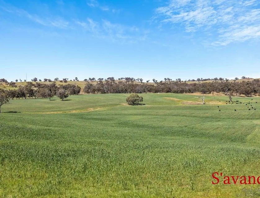 Lot 50 Fendlers Road, Tungkillo, South East, 0 રૂમ, 0 બાથરૂમ, Lifestyle Property