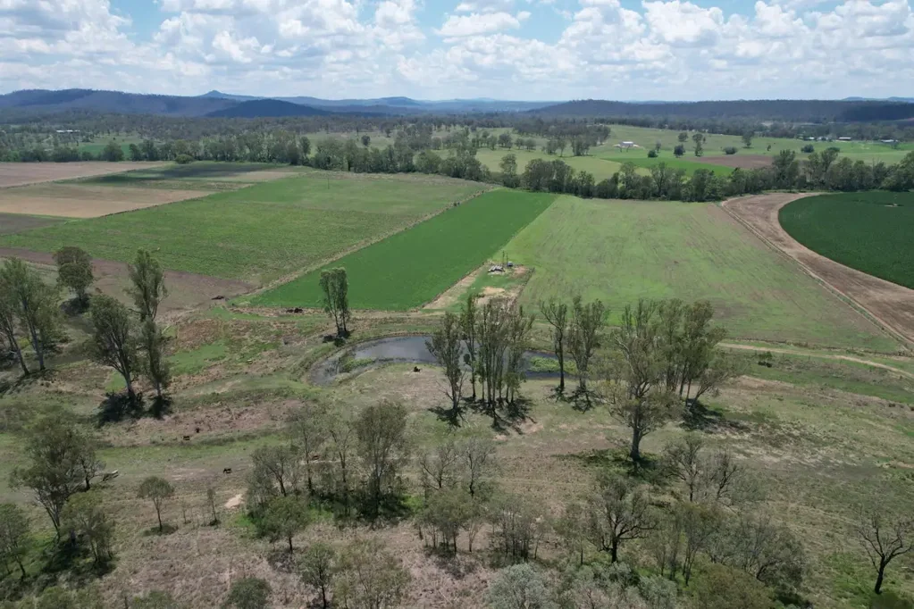 Monto Irrigation & Grazing