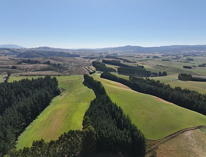 341 Table Hill Road, Milton, Clutha, 0 Bedrooms, 0 Bathrooms, Lifestyle Section